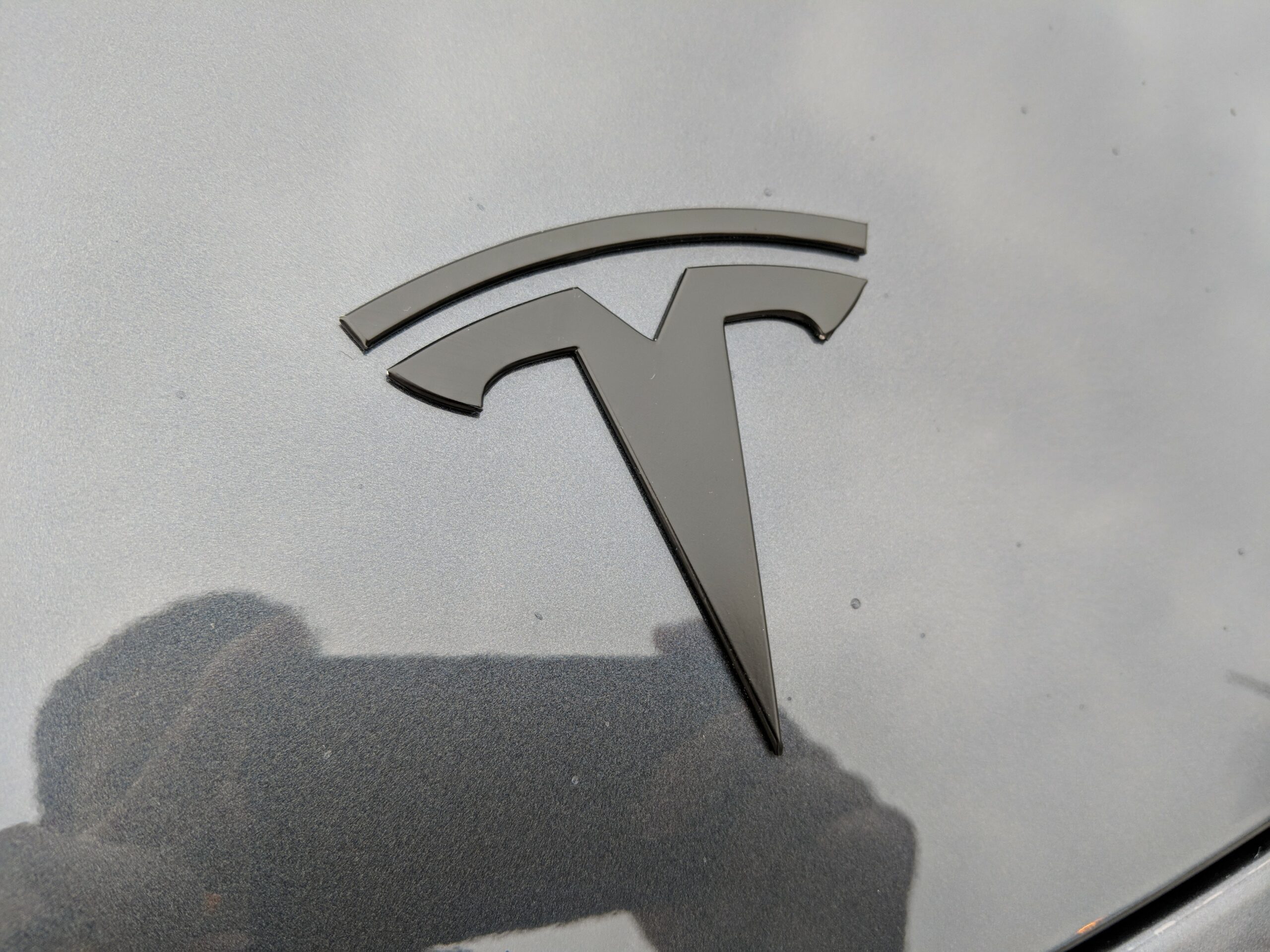 tesla emblem