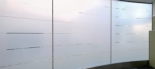 XPEL-VISION-window-film-decorative-frost xpel vision decorative frost window film